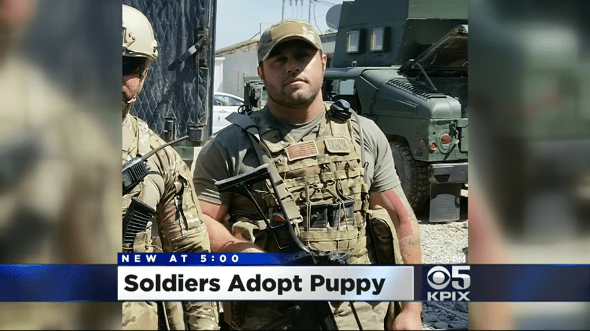 Soldado devoto adopta al perro que lo ayudó a superar la gira de guerra en Irak