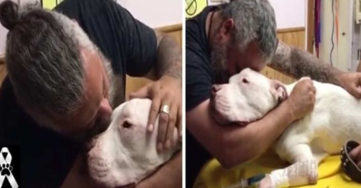 Hombre abraza entre lágrimas a su perro de 14 años y muere segundos después: “No me abandones”