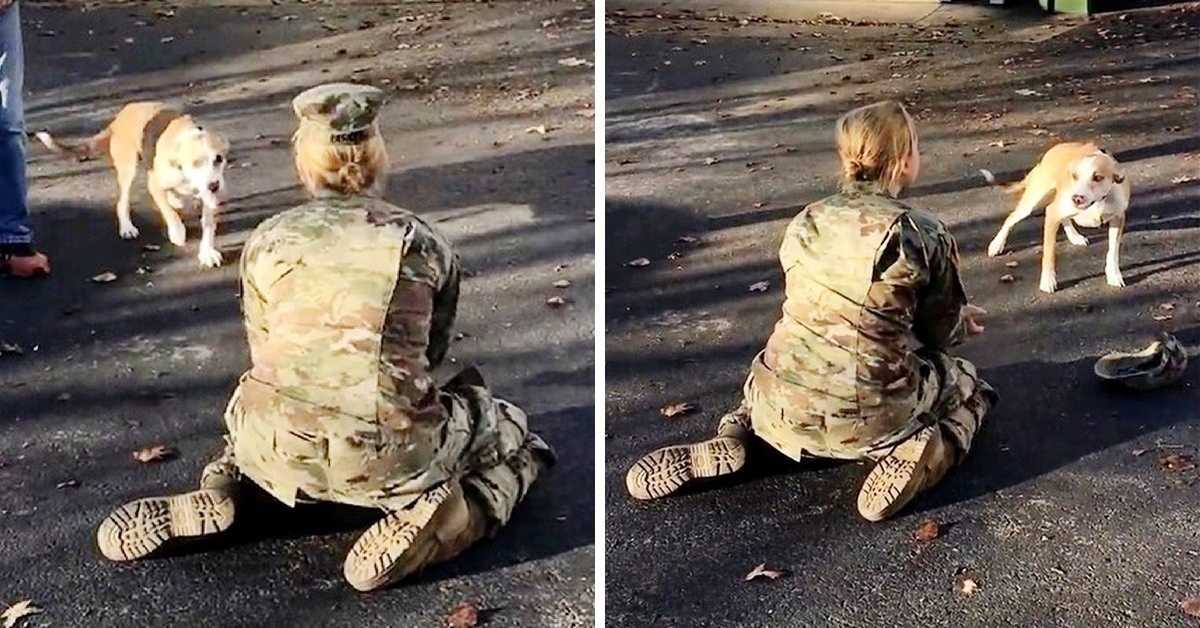 Cuando su perro la rechaza a su regreso, una mamá del ejército se enoja y se quita el sombrero