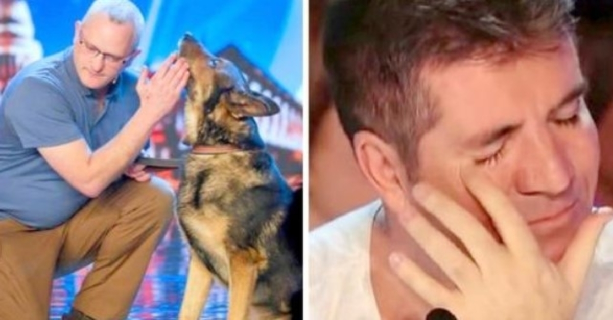 Perro policía apuñalado en el cumplimiento de su deber, tiene a Simon Cowell luchando contra las lágrimas en BGT