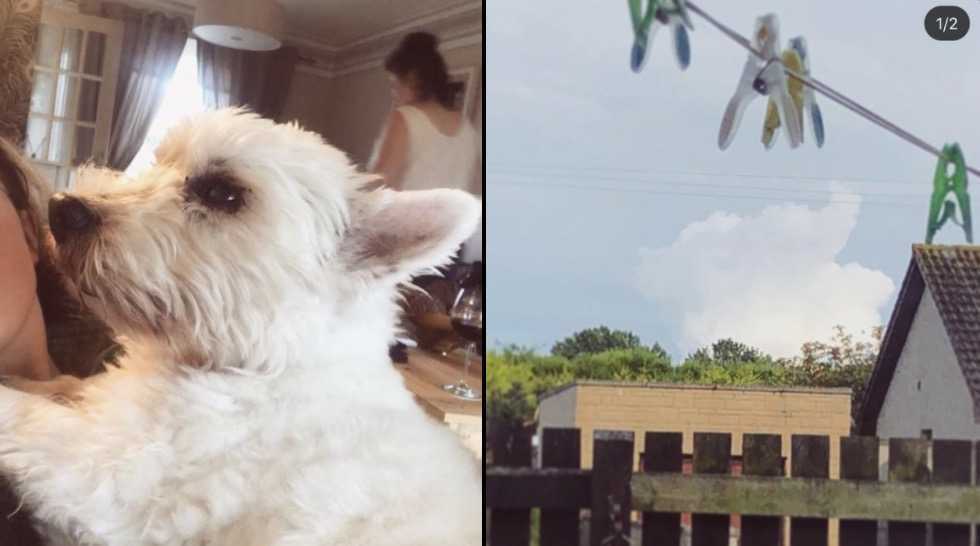 Mujer afligida ve la cara de su perro en las nubes horas después de que falleciera