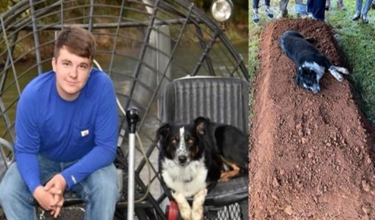 Perro afligido colocado junto a la tumba de su dueño de 22 años que fue asesinado