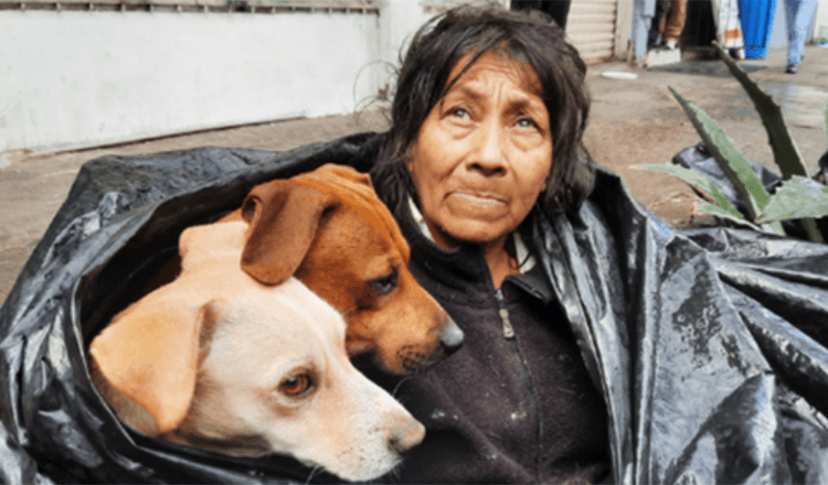 Mujer sin hogar se niega a dejar a sus seis perros por una cama caliente en un refugio