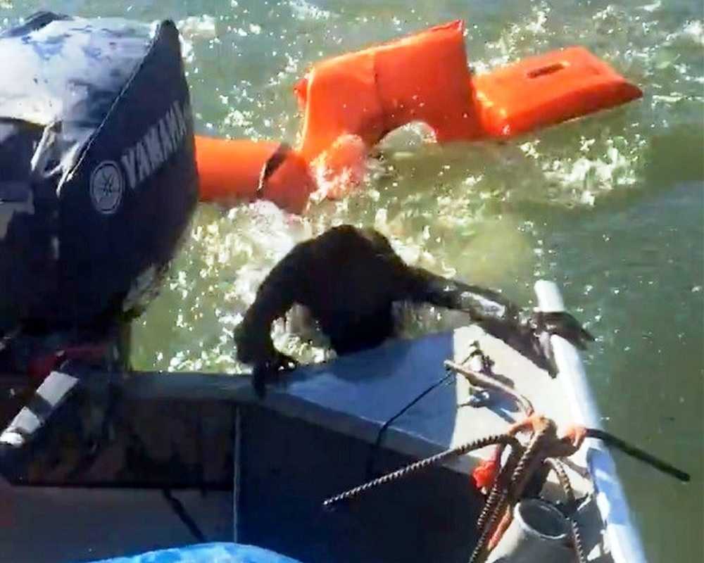 Pescador lanza chaleco salvavidas para salvar a perro ahogado, pero no es un perro en absoluto