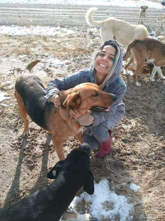 Perro callejero que vivía en el basurero rogaba a la gente que lo adoptara