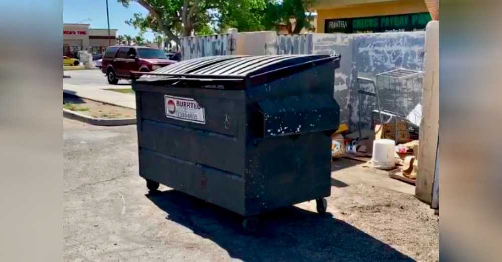 Cachorro gravemente quemado encontrado en la basura después de que un transeúnte escuchara sus gritos