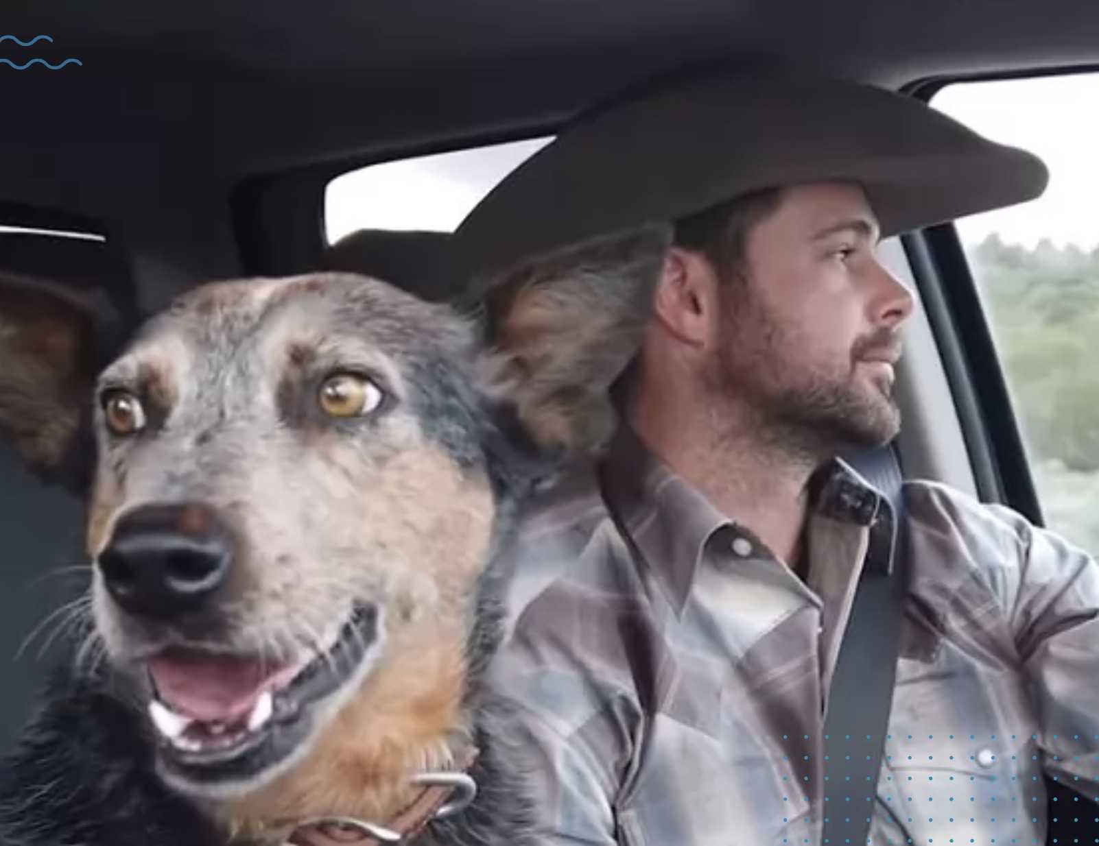 Perro canta dulce dúo con vaquero después de que suena su canción favorita